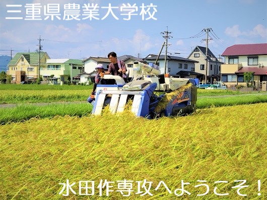 三重県農業大学校水田作専攻の紹介