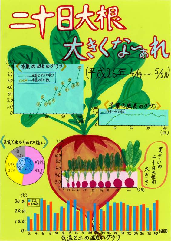 二十日大根　大きくな～ぁれ