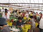 野菜・果物・花市場　うにの丘