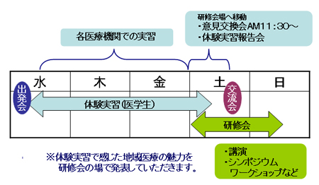 実習概要スケジュール