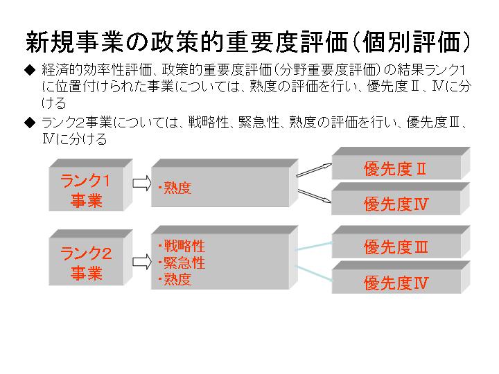 新規事業の政策的重要度評価（個別評価）