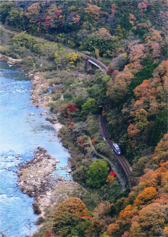 川沿いを走る