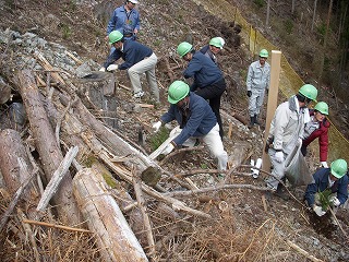 植樹活動