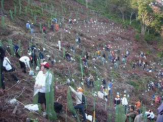 植樹活動