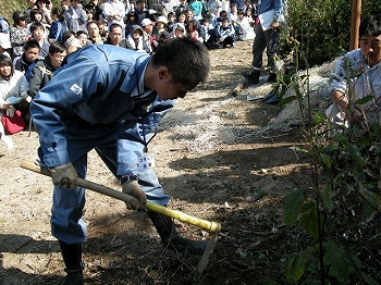 植樹