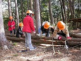 森の小人たち