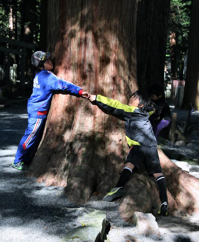 大きな木の下で