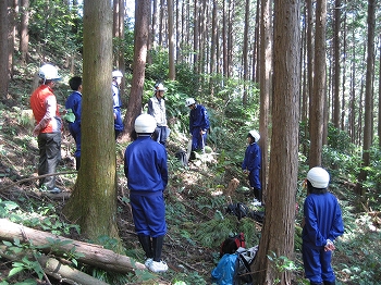 森の健康診断