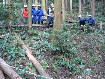 森の健康診断