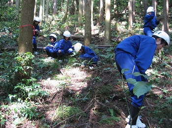 森の健康診断