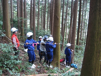 森の健康診断