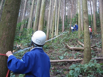 森の健康診断