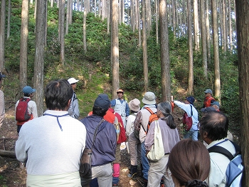 山林の見学