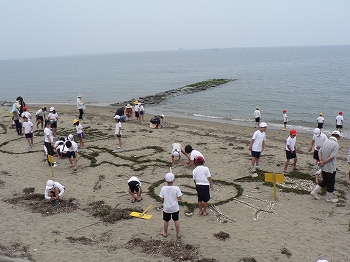 海の活動の写真4