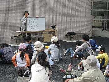 野鳥観察の写真1