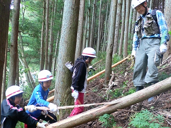 間伐材の丸太切り体験