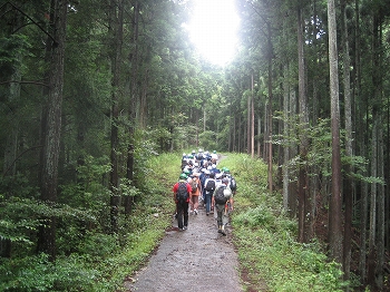 学校林へ移動