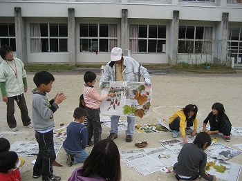 観察＆活動発表