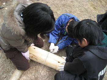 学校林整備