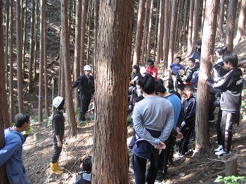 間伐作業の見学