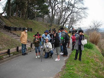 里山の観察