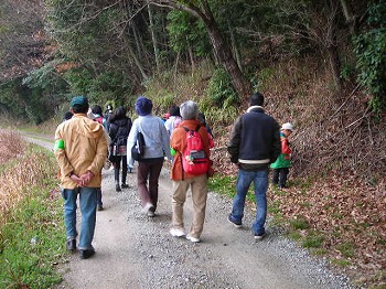 里山の観察