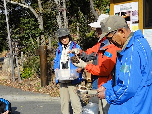 野鳥について説明