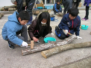 椎茸の菌打ち体験