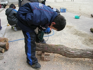 椎茸の菌打ち体験