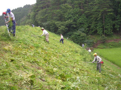 除草作業