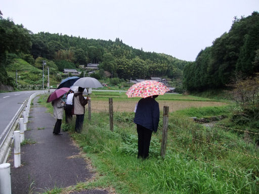 現地確認