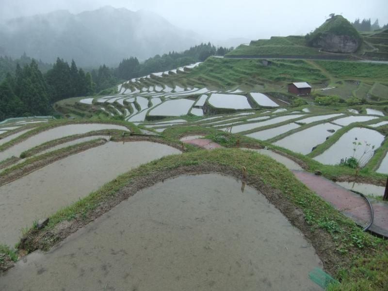 熊野市　丸山千枚田