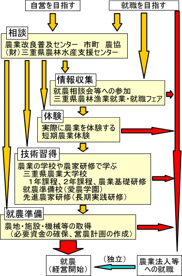 就農のプロセス