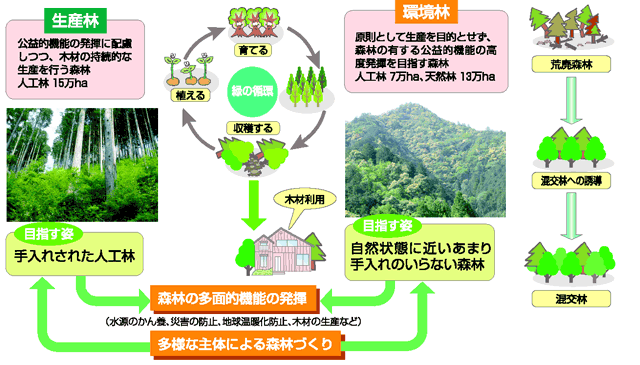 森林づくりの展開図