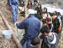 広葉樹の植樹（美杉南小学校）