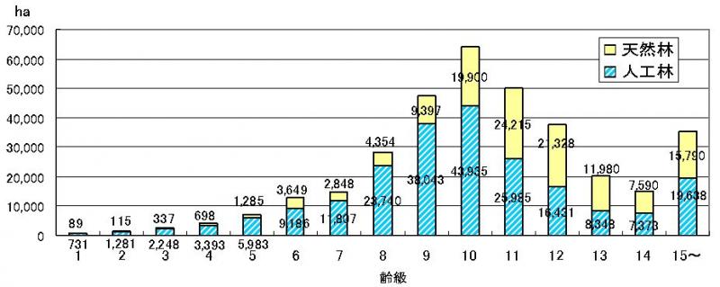 齢級別森林面積(民有林)