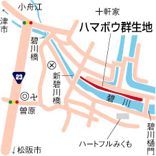 碧川河口（あおかわかこう）のハマボウ群落周辺地図