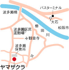  ヤマザクラ周辺地図