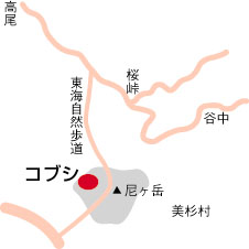 尼ヶ岳のコブシ周辺地図