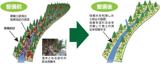 災害緩衝林の整備