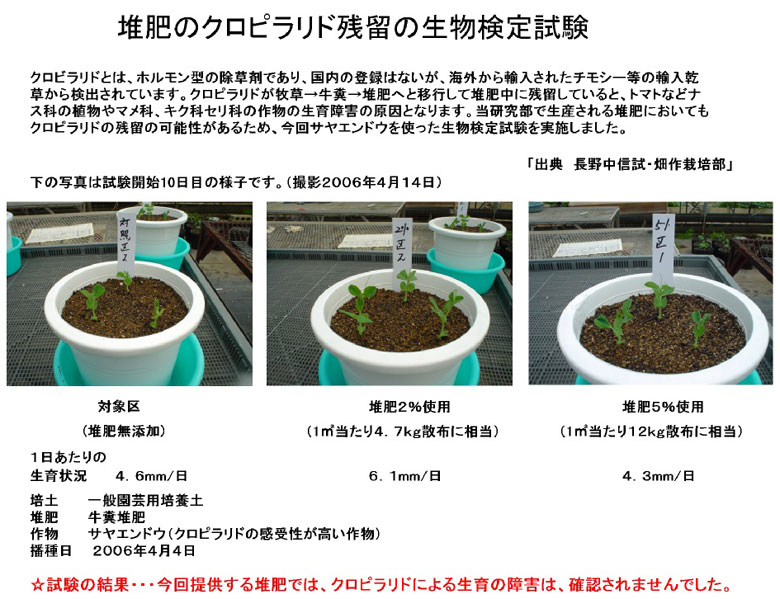 植物ホルモン剤「クロピラリド」が堆肥中に含まれていないかどうかを試験しました。