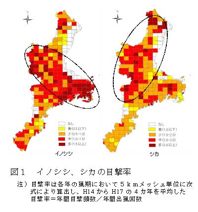 イノシシ、シカの目撃率