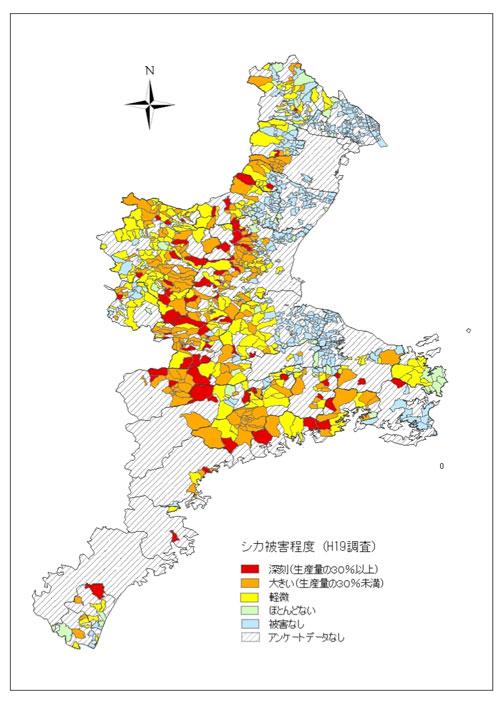 被害状況調査（シカ）