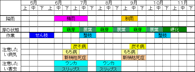 一番茶直後の更新（中切り更新）