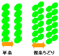 苗の植え方