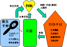 茶園防除判断の流れ