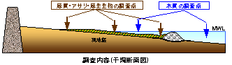 干潟断面図