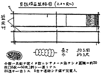 アコヤガイ椎貝を付着させる貝殻採苗器の図