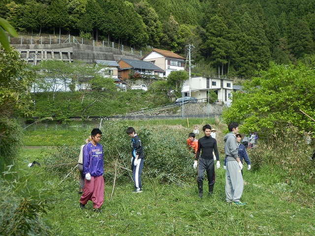 沢山の竹