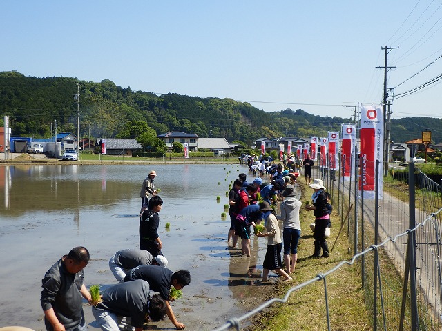 壮大な田植え